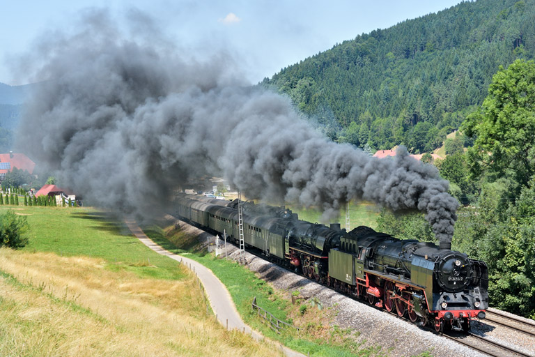01 066 bei Gutach (August 2015)