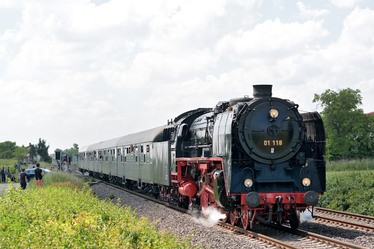 01 118 bei Maikammer (Mai 2014)