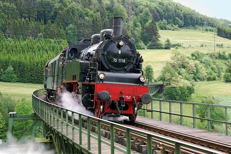 75 1118 bei Zollhaus-Blumberg (Mai 2007)