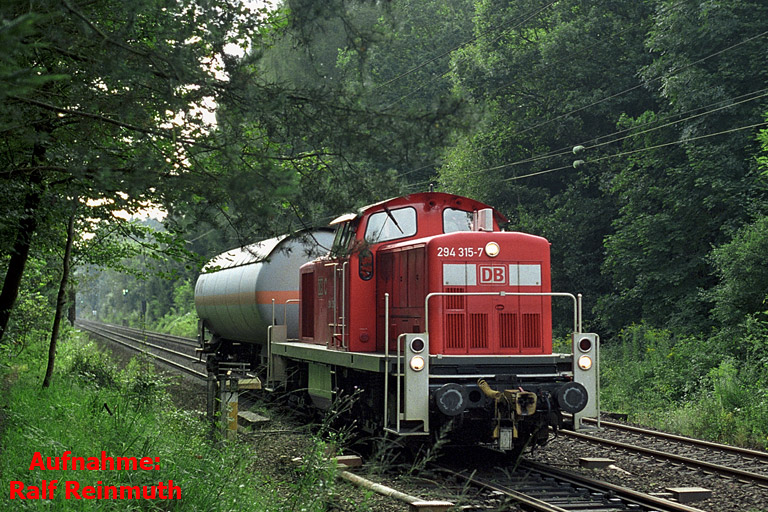 294 315 bei km 18,0 (Sommer 2002)