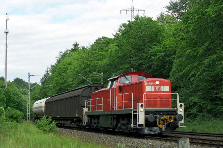 294 684 bei km 21,0 (Sommer 2004)