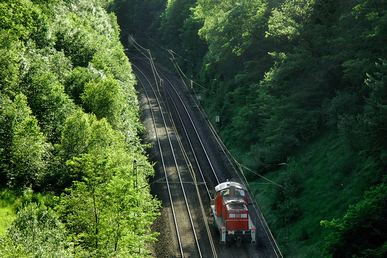 294 176 als FZT 56174 bei km 20,6 (Juni 2007)