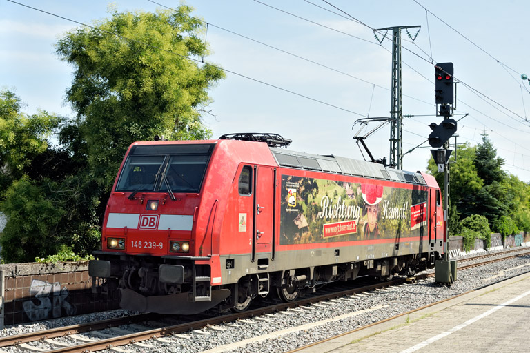 146 239 als Tfzf 70680 bei km 16,8 (August 2024)