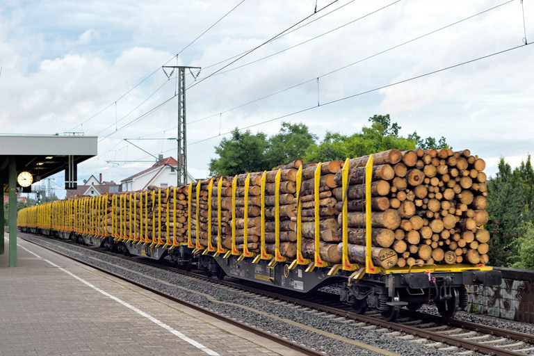 193 691 bei km 16,8 (Juli 2024)